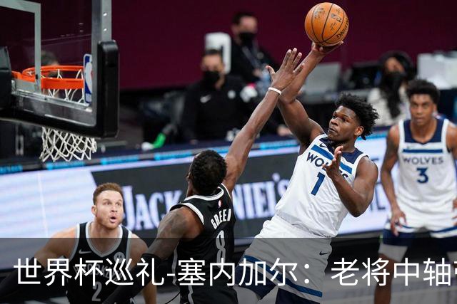 世界杯巡礼-塞内加尔：老将中轴带来安全感，非洲顶流前景可期！